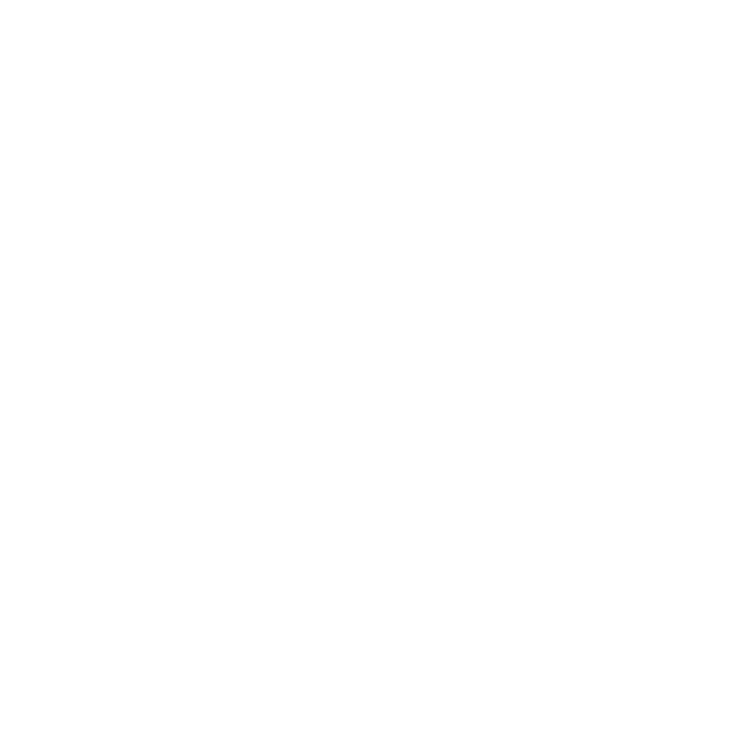 logo Festival Novas Invasões
